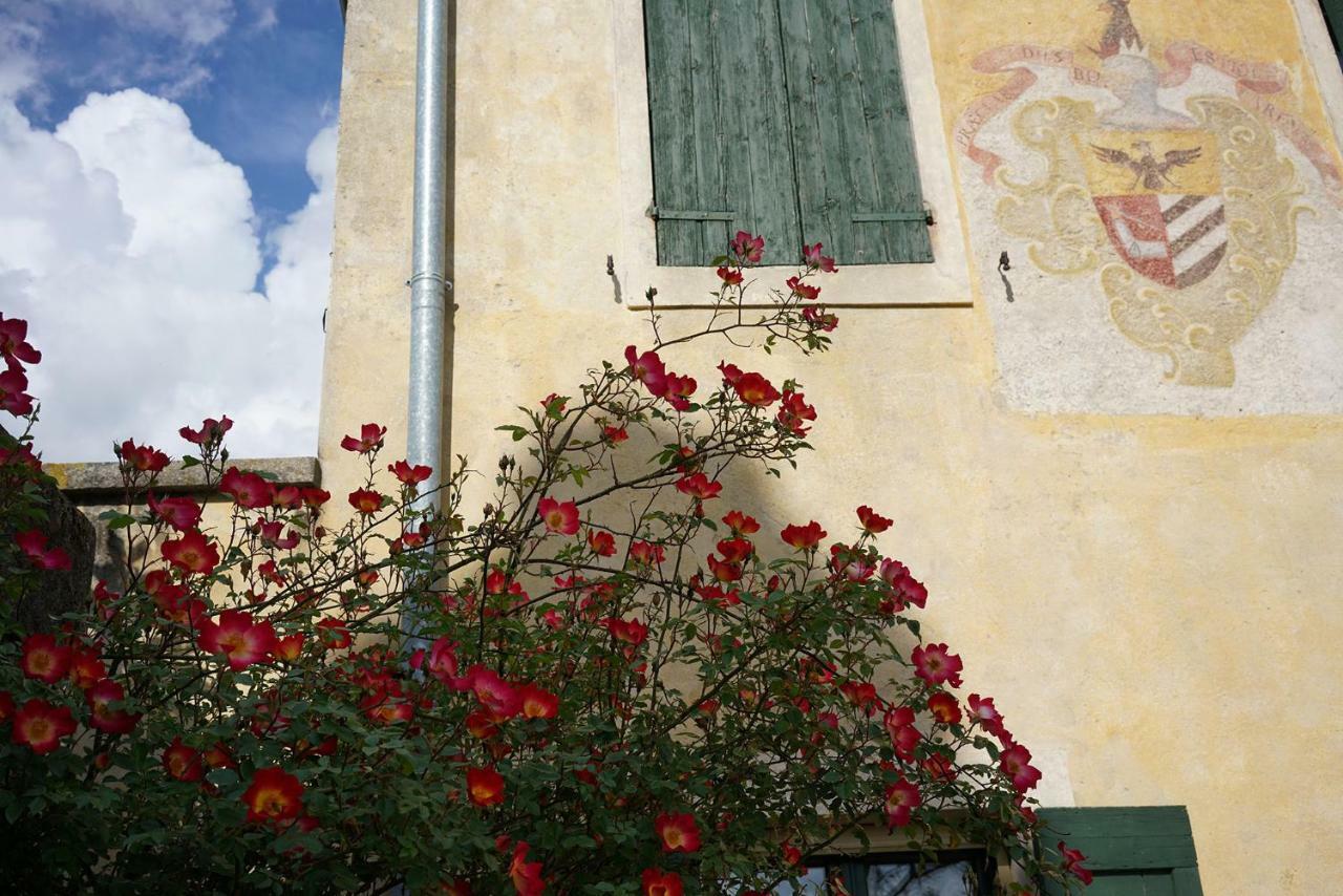 Domus Cariana Villa San Pietro in Cariano Exteriör bild